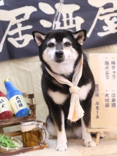 20240606ひめちゃん